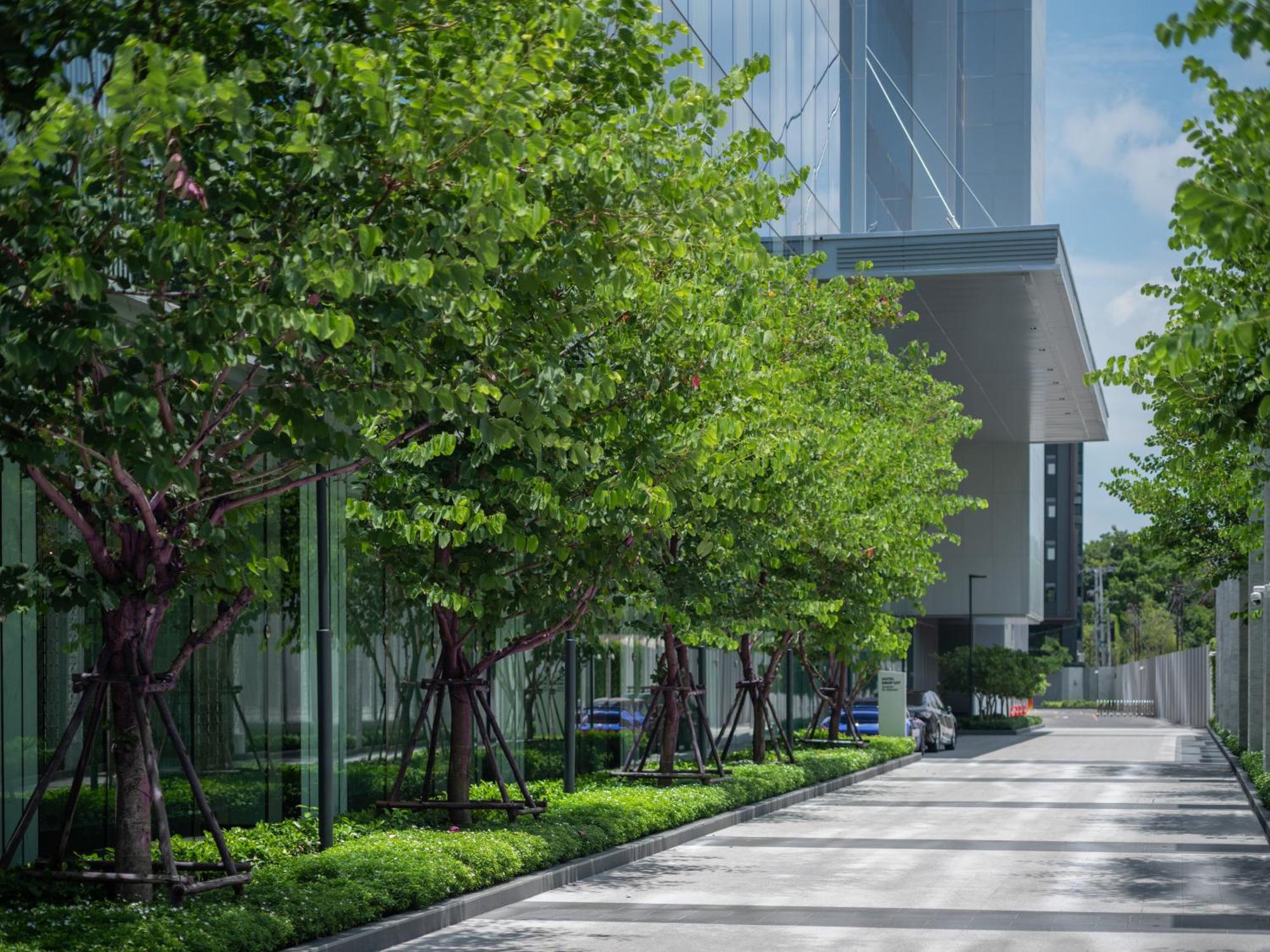 Eastin Grand Hotel Phayathai Bangkok Exterior foto The park